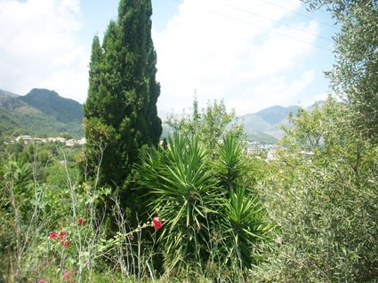 Orba property: Land for sale in Orba 67067
