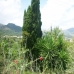 Orba property: Land for sale in Orba 67067