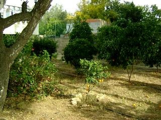 San Javier property: Finca for sale in San Javier 67214
