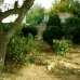 San Javier property: Murcia, Spain Finca 67214