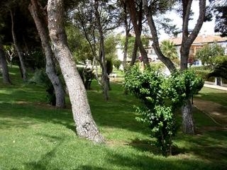 Mil Palmeras property: Alicante Townhome 67229