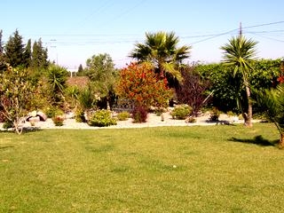 Conil De La Frontera property: Villa with 3 bedroom in Conil De La Frontera 67240