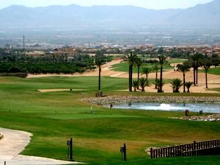 Fuente Alamo de Murcia property: Villa for sale in Fuente Alamo de Murcia, Spain 67310