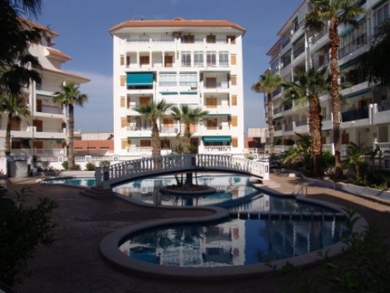La Mata property: Apartment with 2 bedroom in La Mata, Spain 67375