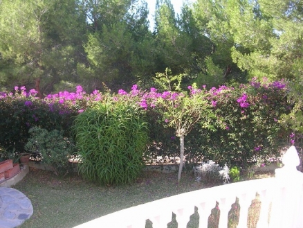 San Miguel De Salinas property: Villa with 2 bedroom in San Miguel De Salinas 67383