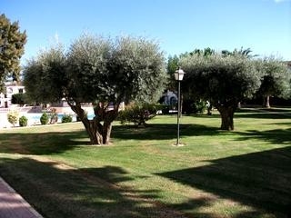 Villamartin property: Apartment in Alicante for sale 67389