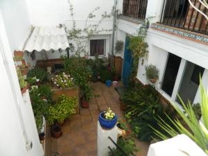 Townhome with 3 bedroom in town, Spain 67706