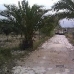 Sax property: Sax, Spain Villa 67893