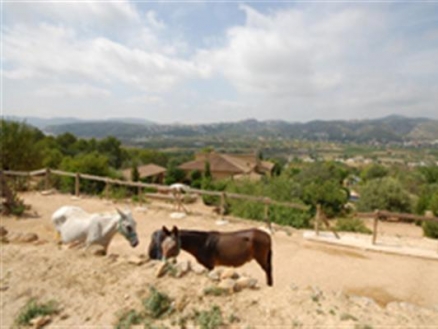 Pedreguer property: Villa with 4 bedroom in Pedreguer 68862