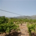 Orba property:  Land in Alicante 68899