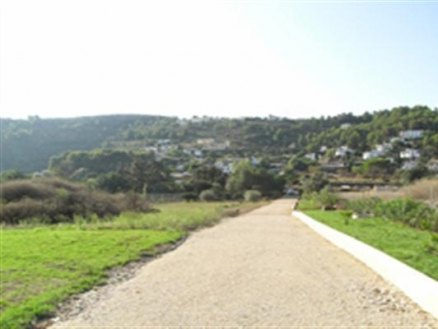 Benidoleig&nbsp;property:&nbsp;Land&nbsp;with&nbsp;bedroom&nbsp;in&nbsp;Benidoleig&nbsp;68914