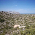 Pedreguer property: Land for sale in Pedreguer 69070