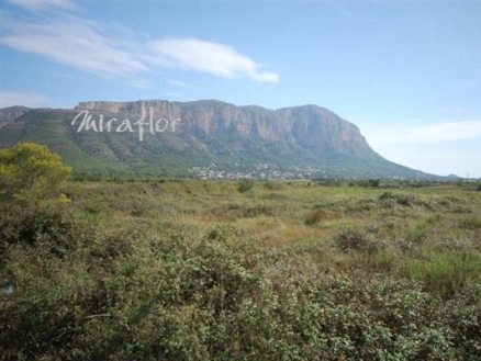 Jesus Pobre property: Land for sale in Jesus Pobre 69092