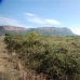 Jesus Pobre property: bedroom Land in Alicante 69092