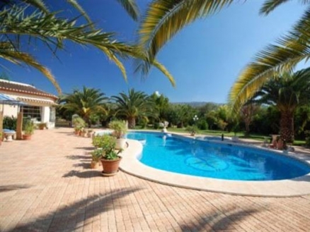 Pedreguer property: Villa in Alicante for sale 69114