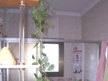 Villa with 5 bedroom in town, Spain 69178