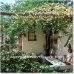 Orgiva property: 3 bedroom House in Granada 69208