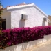 Ciudad Quesada property: Ciudad Quesada, Spain Villa 100183