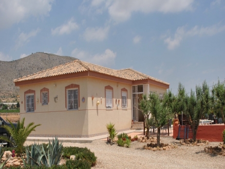Villa for sale in town 100224