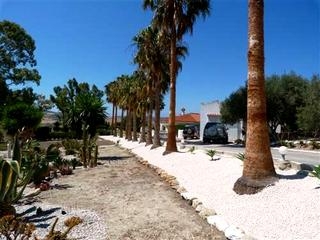 Finca with 5 bedroom in town 100650
