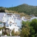 Competa property: Beautiful Commercial for sale in Malaga 100946
