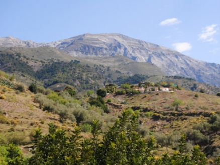 Canillas&nbsp;De&nbsp;Aceituno&nbsp;property:&nbsp;Villa&nbsp;with&nbsp;2&nbsp;bedroom&nbsp;in&nbsp;Canillas&nbsp;De&nbsp;Aceituno&nbsp;101056