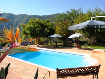 Canillas&nbsp;De&nbsp;Aceituno&nbsp;property:&nbsp;Commercial&nbsp;with&nbsp;bedroom&nbsp;in&nbsp;Canillas&nbsp;De&nbsp;Aceituno,&nbsp;Spain&nbsp;101076