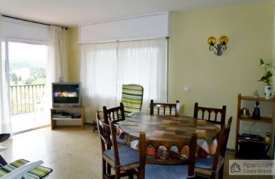 Apartment to rent in town, Spain 101933