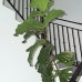 Apartment in province 102035
