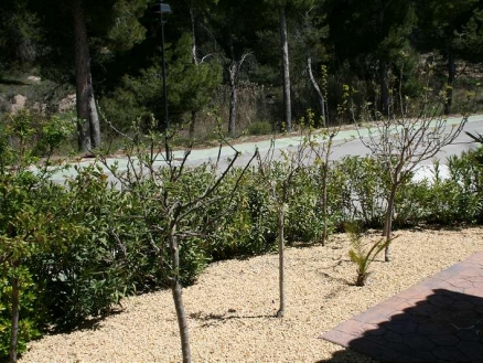 Villa with 3 bedroom in town 102158