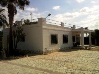 Elche property: Villa for sale in Elche 104466