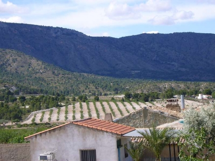 House for sale in town,  104498