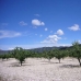 town House, Spain 104498