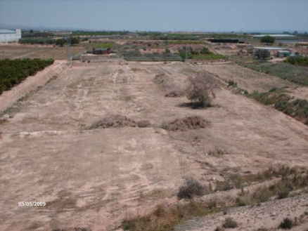 Land for sale in town,  104499