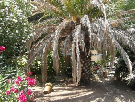 House with 4 bedroom in town, Spain 105582