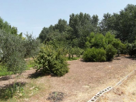 House for sale in town,  105582