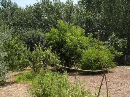 province House 105582