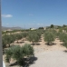 Beautiful Villa for sale in town 105583