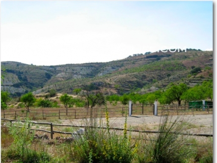 Turon property: Turon, Spain | Farmhouse for sale 105647