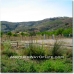 Turon property: Granada Farmhouse, Spain 105647