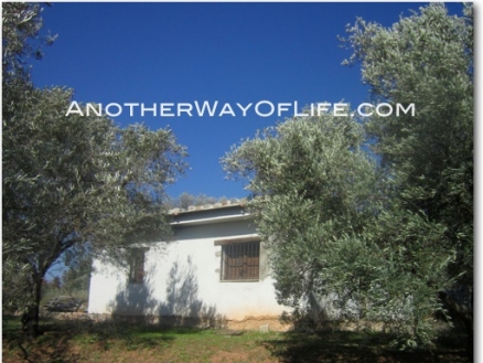 Orgiva property: Farmhouse for sale in Orgiva 105648