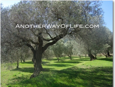 Orgiva property: Farmhouse in Granada for sale 105648