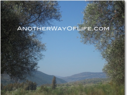 Orgiva property: Orgiva, Spain | Farmhouse for sale 105648