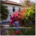 Alora property: Malaga, Spain House 106478