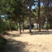 Elviria property: Elviria, Spain Land 109141