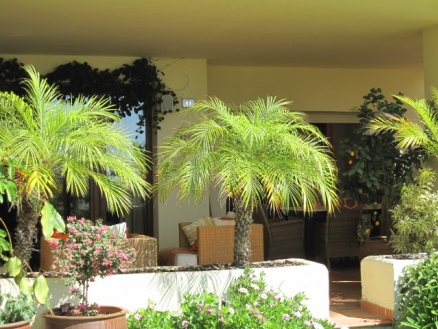 New&nbsp;Golden&nbsp;Mile&nbsp;property:&nbsp;Apartment&nbsp;in&nbsp;Malaga&nbsp;for&nbsp;sale&nbsp;109150