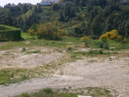 El Chaparral property: Land for sale in El Chaparral, Spain 109180