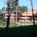 Elviria property: Apartment for sale in Elviria 109191