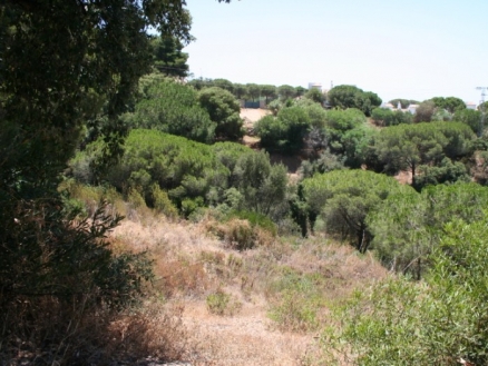 Elviria property: Land for sale in Elviria 109199