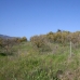 Guaro&nbsp;property:&nbsp;Malaga,&nbsp;Spain&nbsp;Land&nbsp;109229